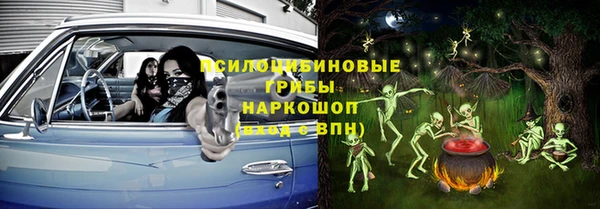 круглые Алексеевка