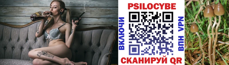 купить   Лесной  Псилоцибиновые грибы мухоморы 