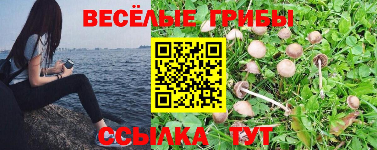 Галлюциногенные грибы мицелий Лесной